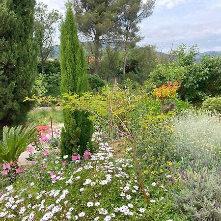 Haut de villa avec terrasse privative jardin et parking tout près des plages Tolone Esterno foto