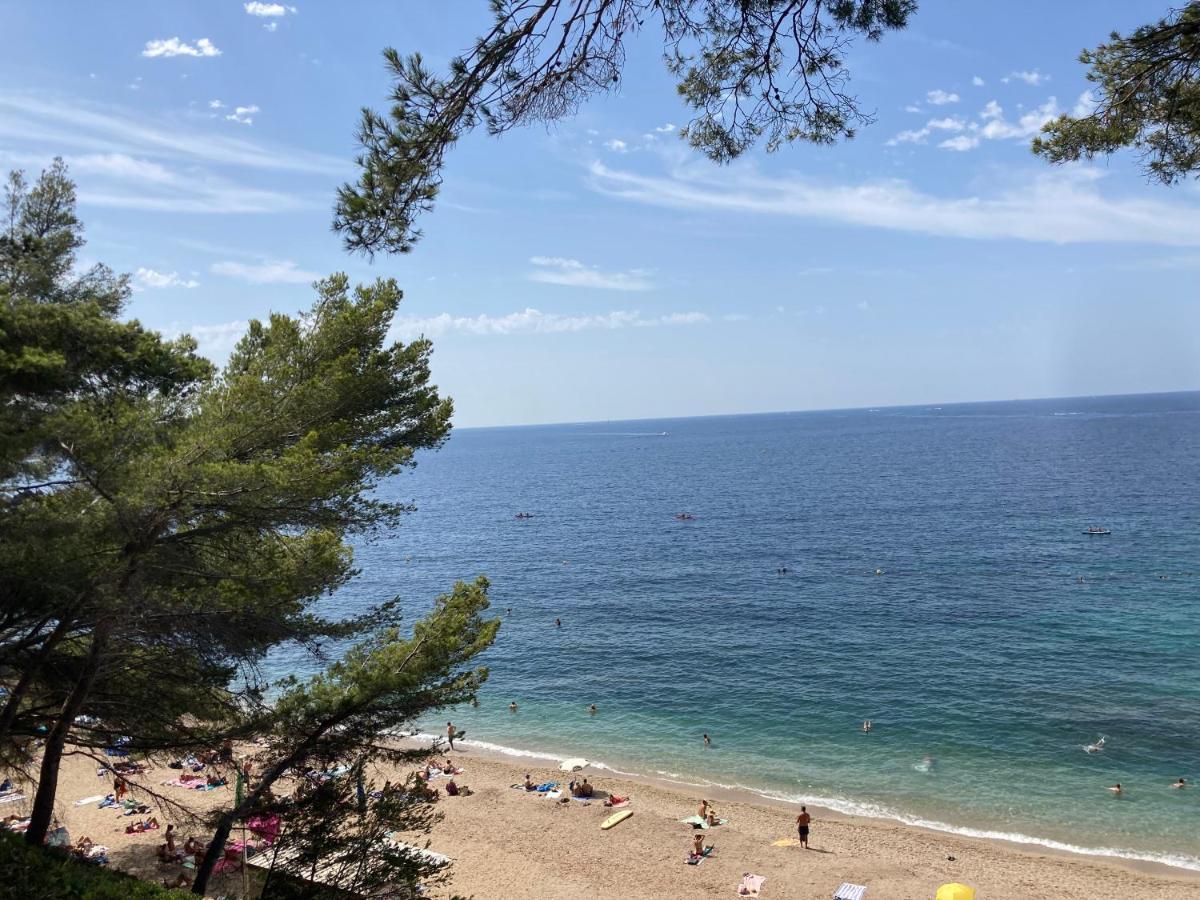 Haut de villa avec terrasse privative jardin et parking tout près des plages Tolone Esterno foto