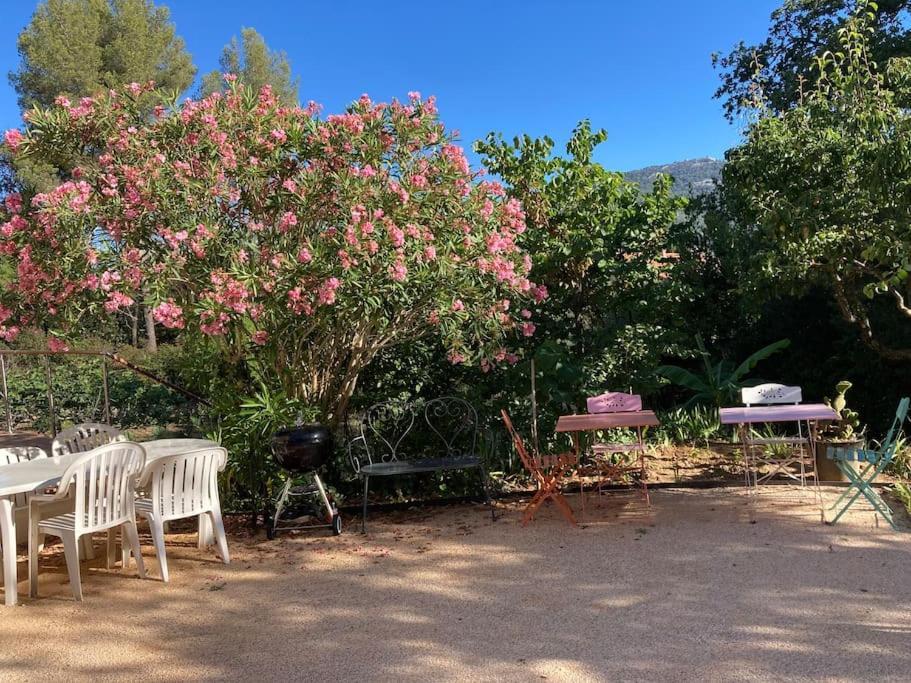 Haut de villa avec terrasse privative jardin et parking tout près des plages Tolone Esterno foto