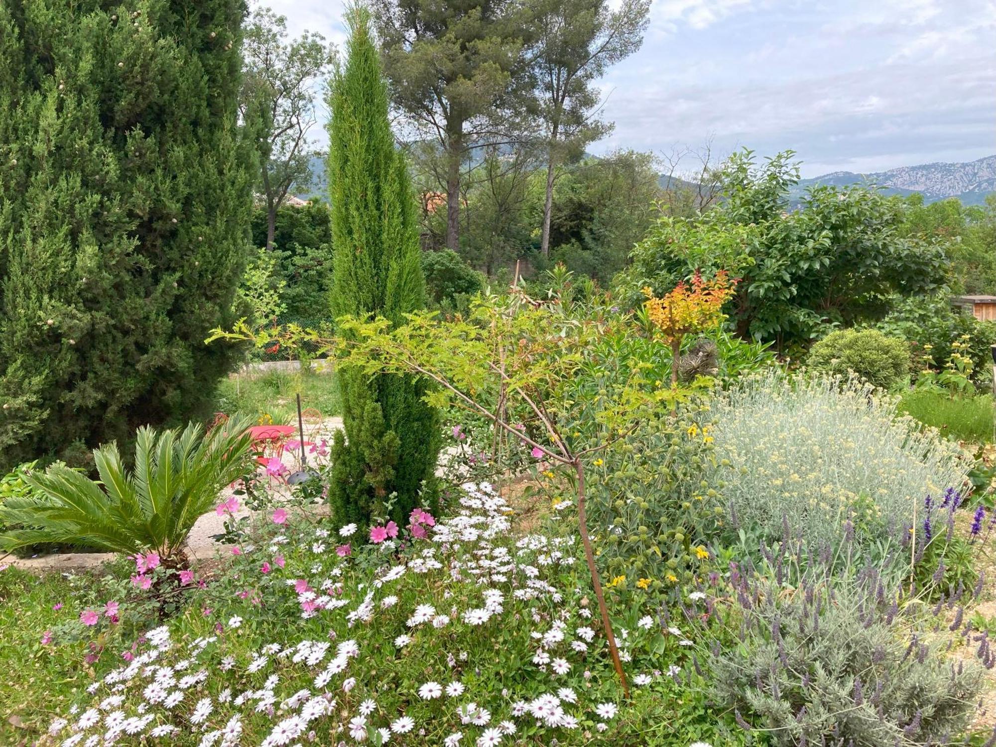 Haut de villa avec terrasse privative jardin et parking tout près des plages Tolone Esterno foto